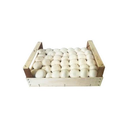 FUNGHI CHAMPIGNON SFUSI FRESCHI